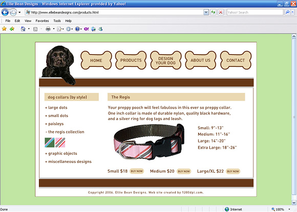 Launch web site