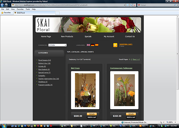 Launch web site